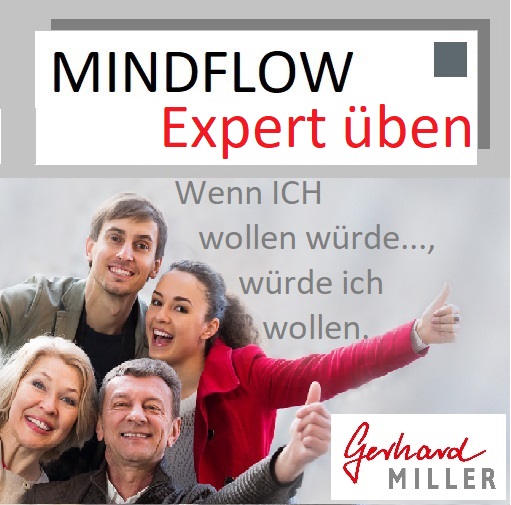 Mindflow Expert - Übungstreffen